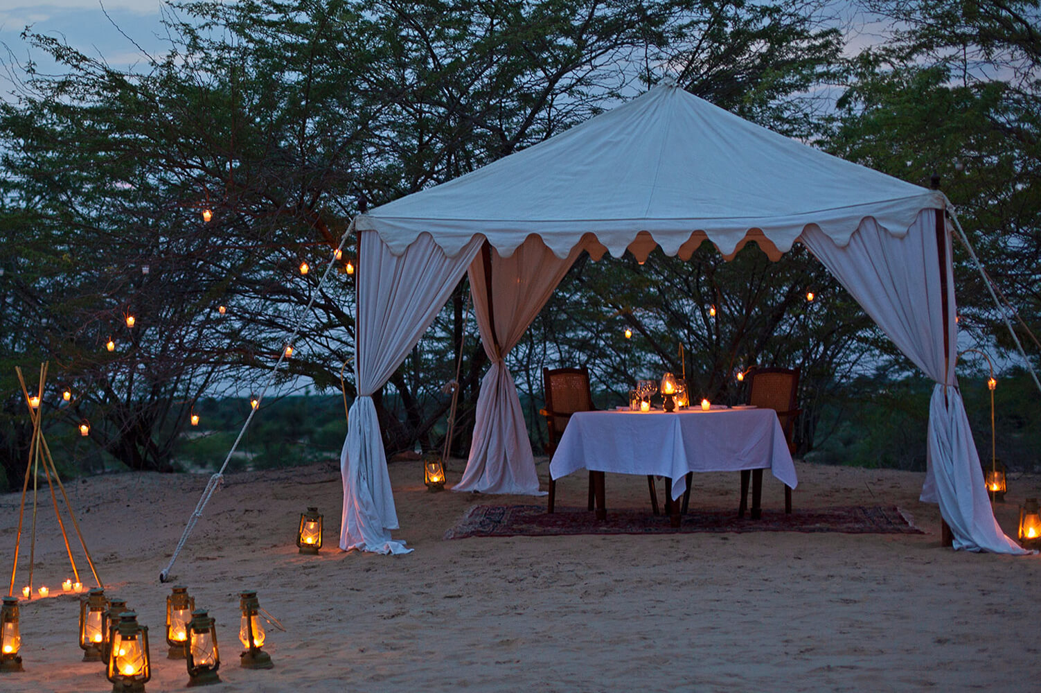 Jaisalmer desert camp